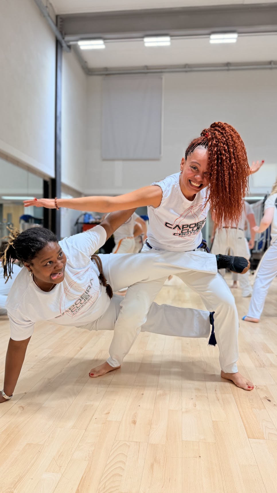 Private capoeira class London