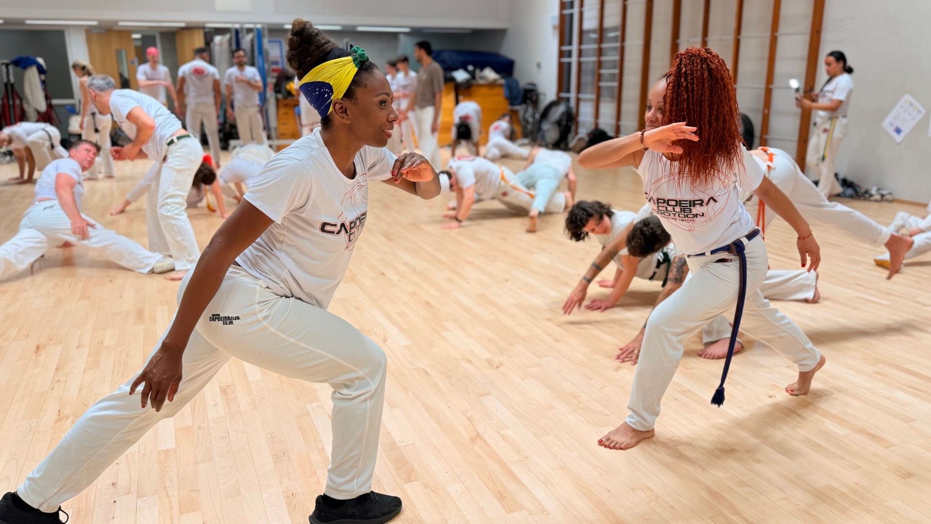 Private capoeira class London